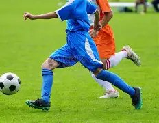 魏德尔,再接再厉,勇往直前,万博,ManBetX,万博体育官网,万博官网,万博体育下载